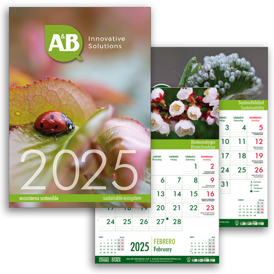 calendario 2025